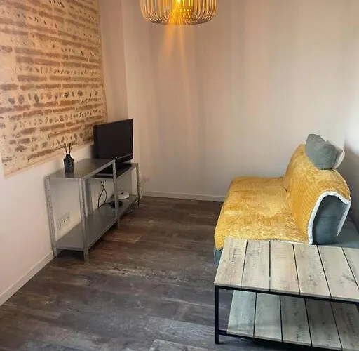 T2 - 1er étage Appartement Seysses